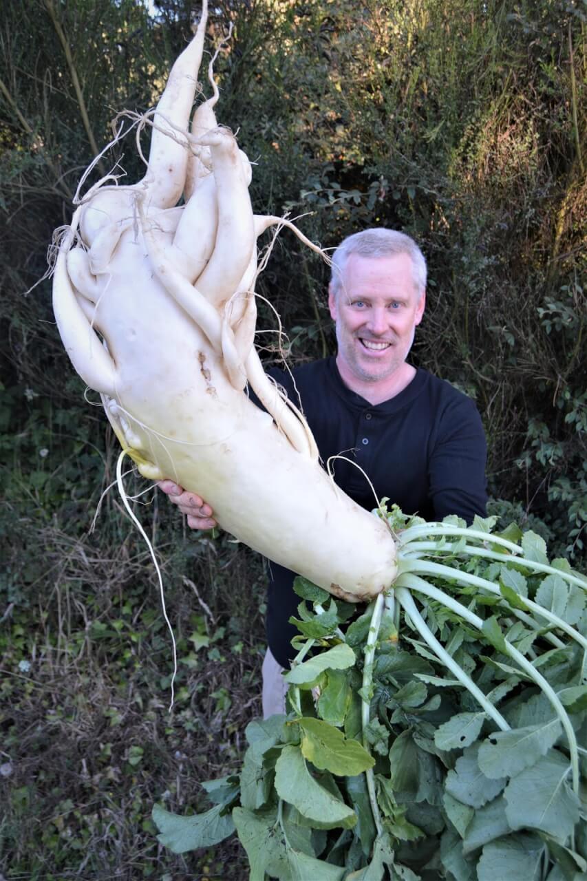 How Growing Giant Vegetables Became a Pandemic Pastime - Modern Farmer