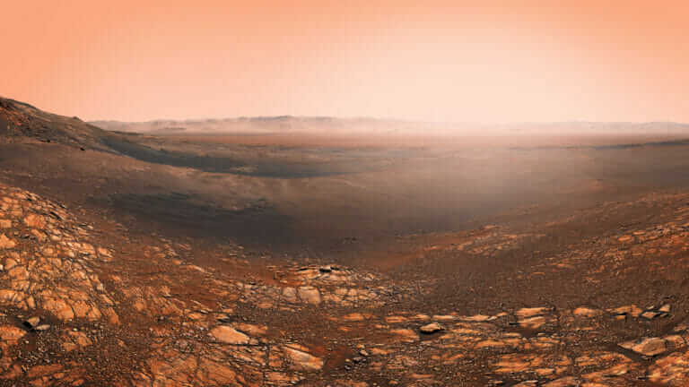 Scientists Recreated Martian Soil to See if Anything Will Grow in It ...