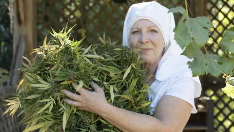 These Nuns Grow Weed - Modern Farmer