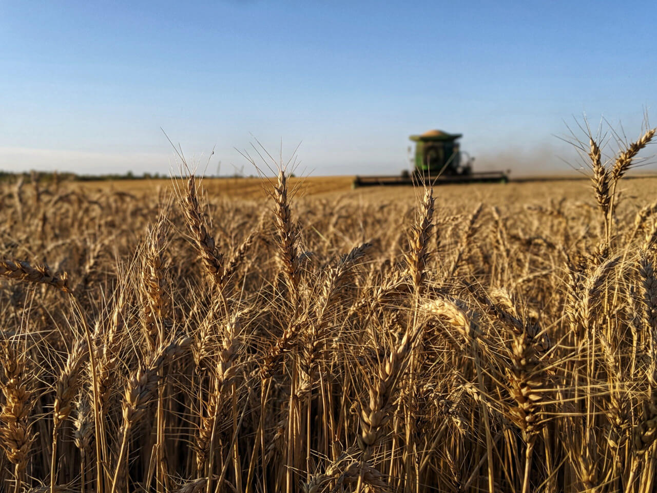 A Grainshed Rises in the Northeast - Modern Farmer - Vimarsana News