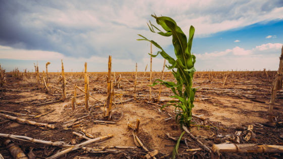 Farm-State Republicans Are Trying Out a New-Again Climate Message ...