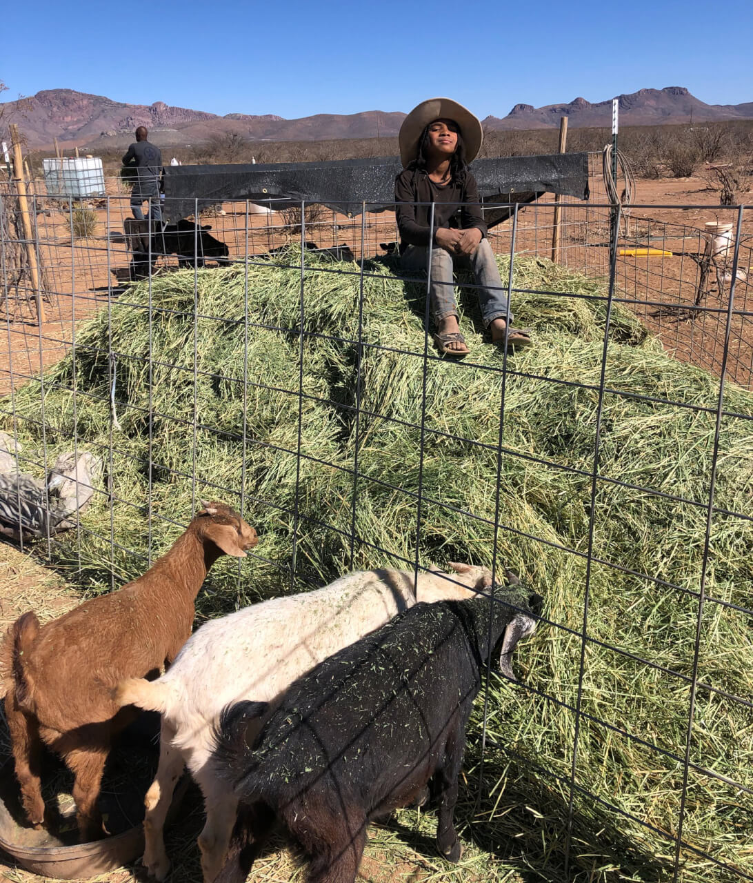 A Burgeoning Network of Black Ranchers Grows in the Southwest - Modern ...