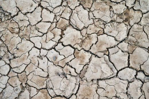 Western Drought Forces Farmers to Make Tough Decisions - Modern Farmer