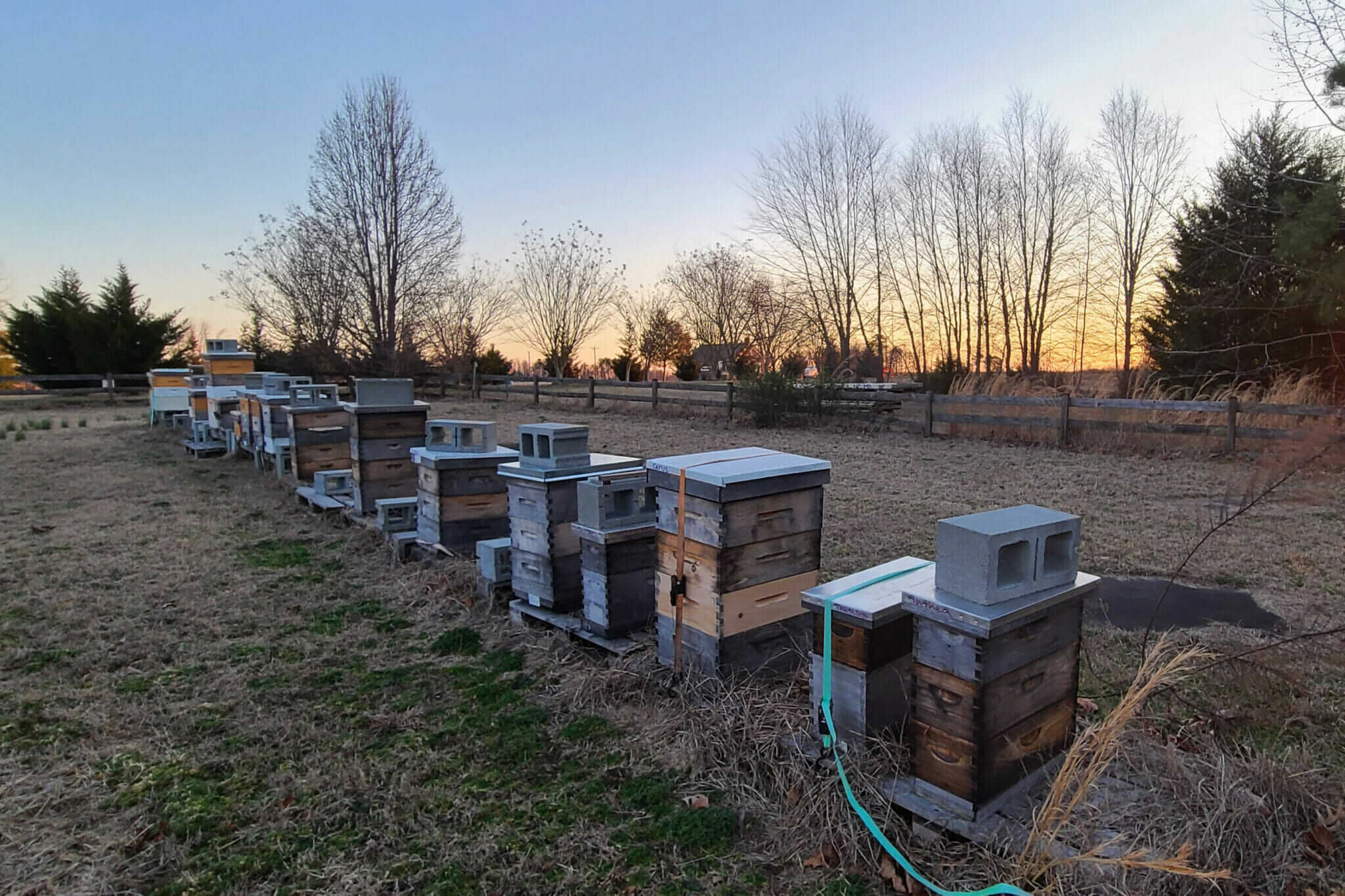 Is Virginia’s Beekeeping Lottery a Good Idea? Modern Farmer