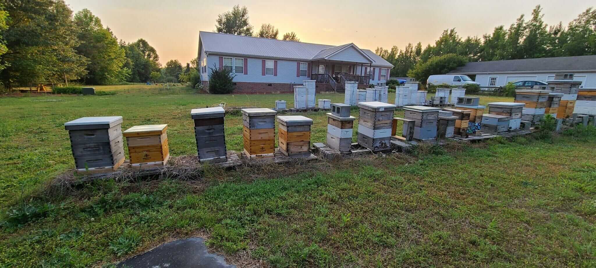 Is Virginia’s Beekeeping Lottery a Good Idea? Modern Farmer