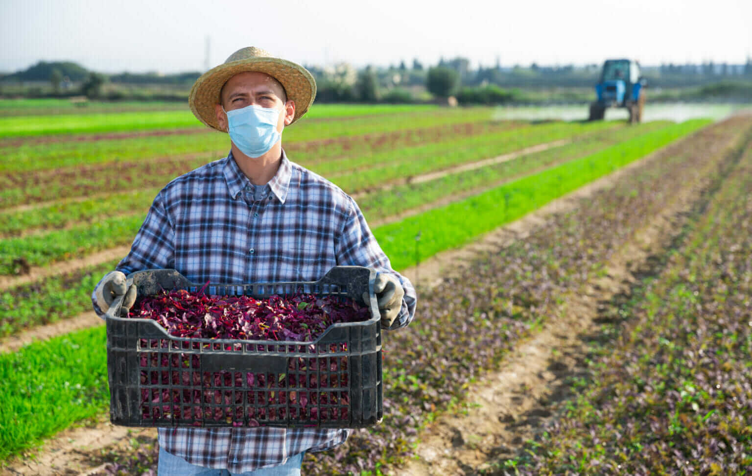 usda-announces-aid-for-farm-and-food-workers-modern-farmer