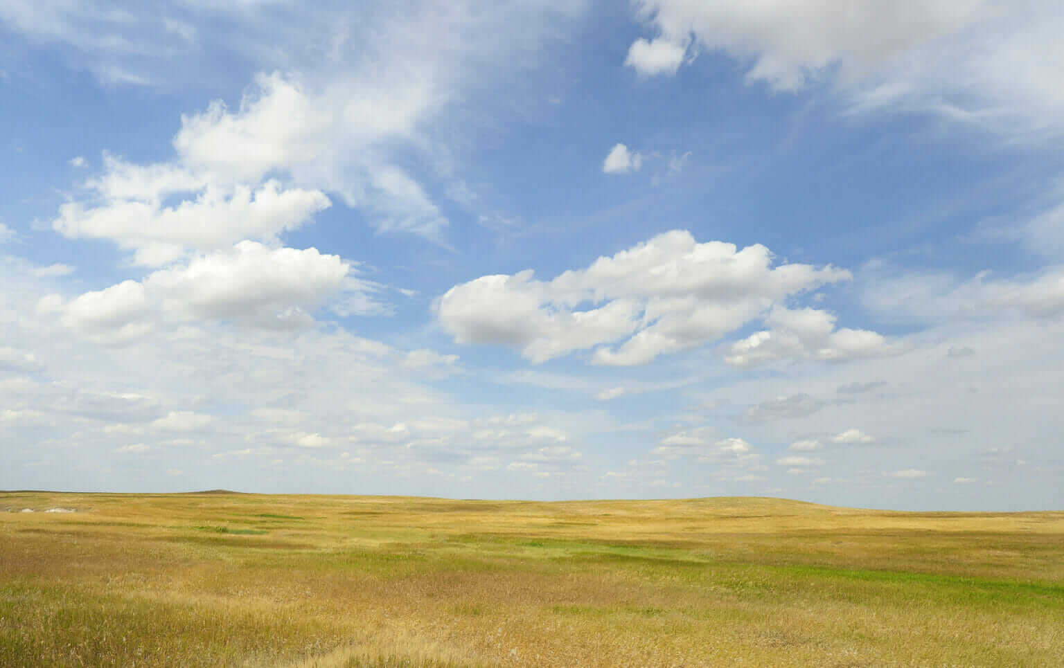 Report: Millions of Acres of Grassland Lost to Agriculture This Year ...