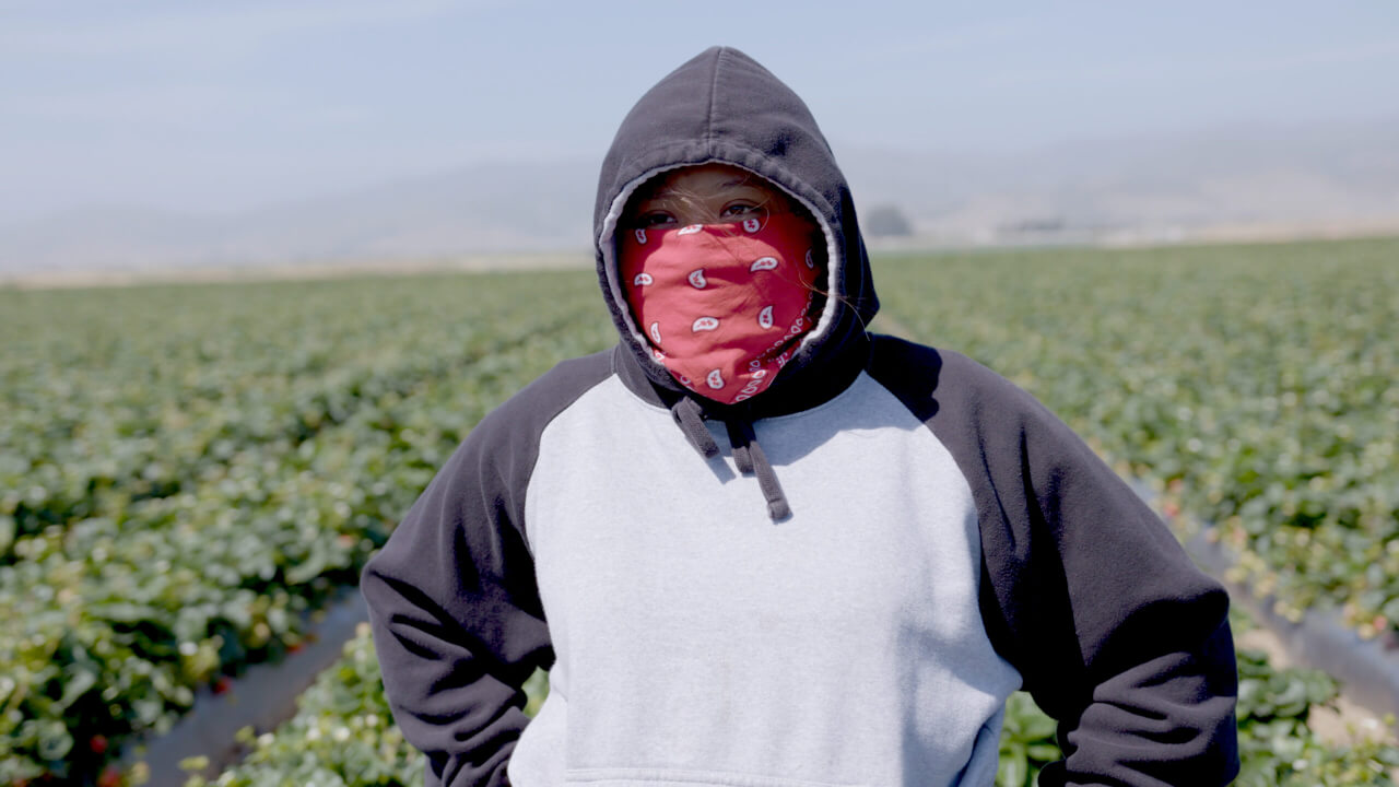 In New Documentary, the Realities of the American Food System Are Laid Bare - Vimarsana News