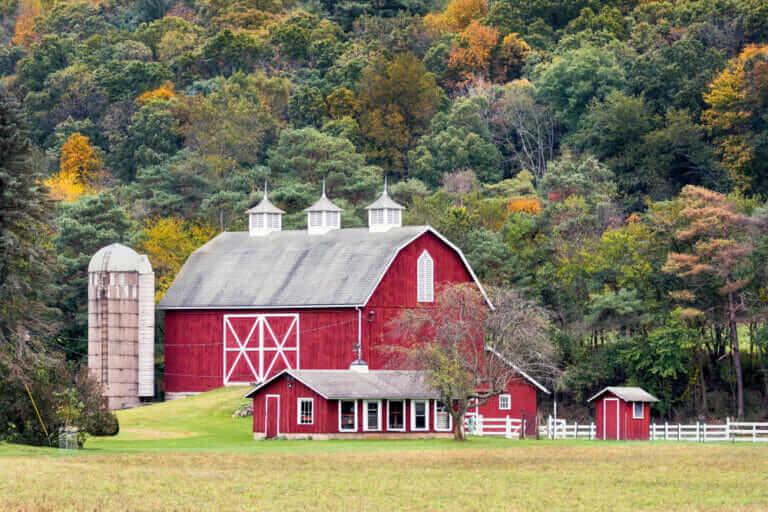 Why Are Barns Painted Red? Modern Farmer