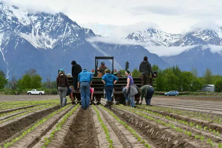 opinion-climate-change-could-enable-alaska-to-grow-more-of-its-food-and-now-is-the-time-to-plan