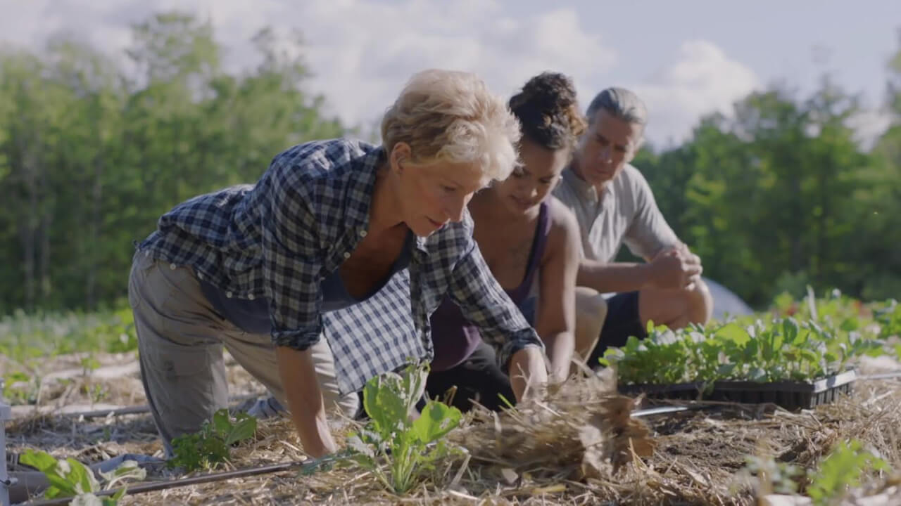 Staying Fit to Farm - Modern Farmer - Vimarsana News