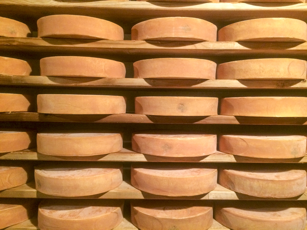 Bulk Cheese Wholesale, Surplus Cheese
