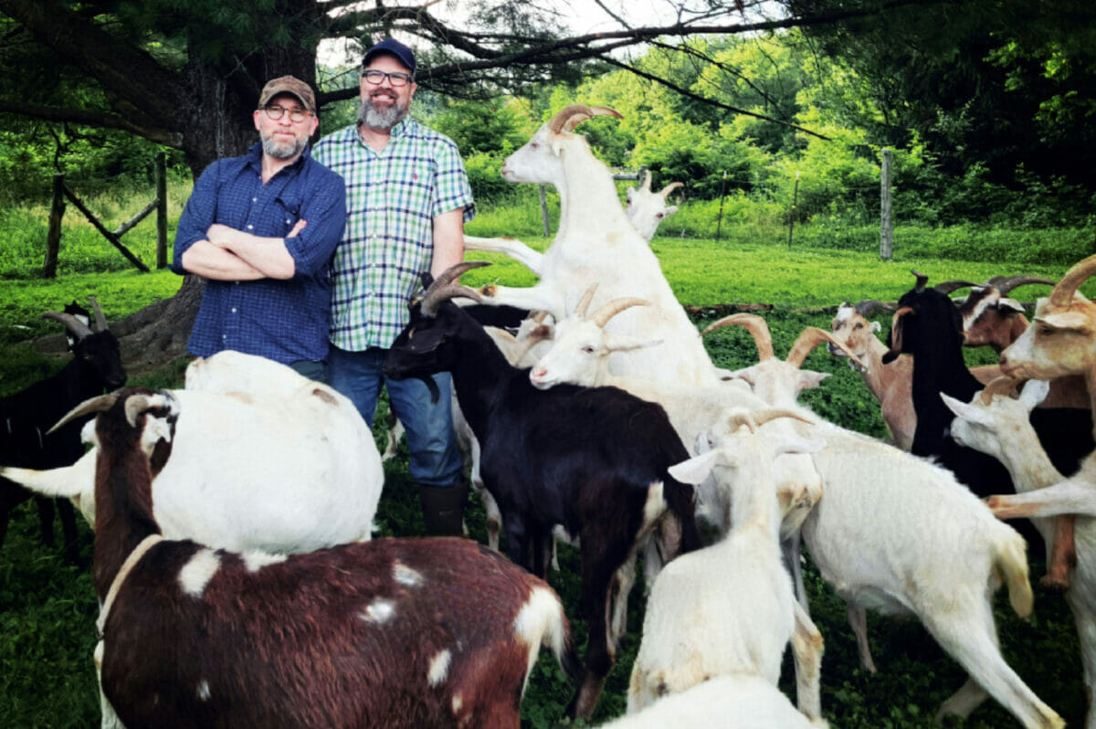 Meet the Gay Goat Guys, a Modern Couple Committed to Putting Animals First  - Modern Farmer
