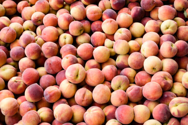 What Does the Future Look Like for Peaches? Modern Farmer