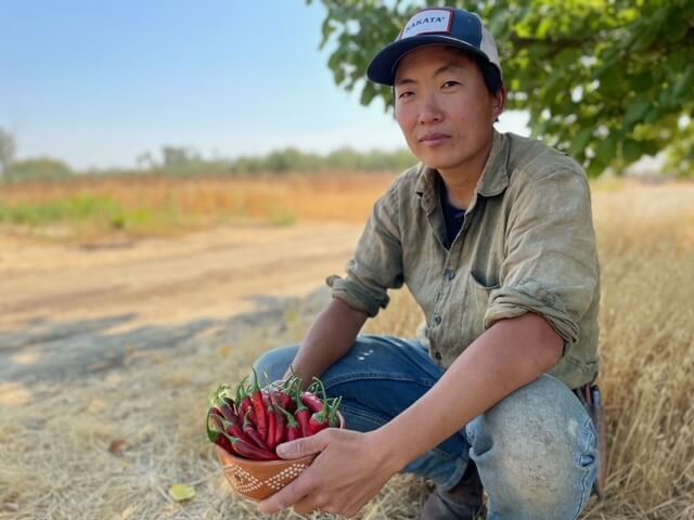Reconnect with Asian Heirloom Vegetables