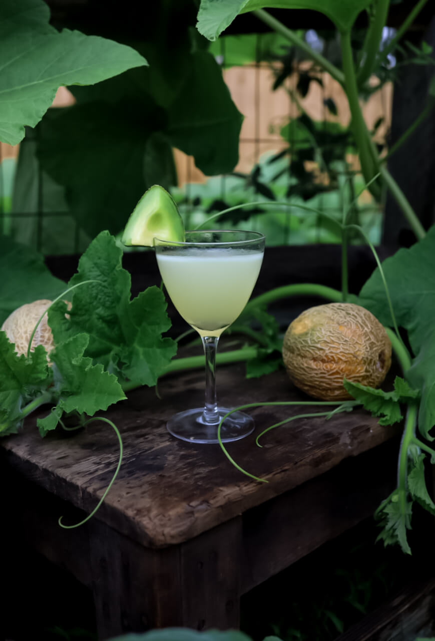 The Story of the Jenny Lind Melon Modern Farmer