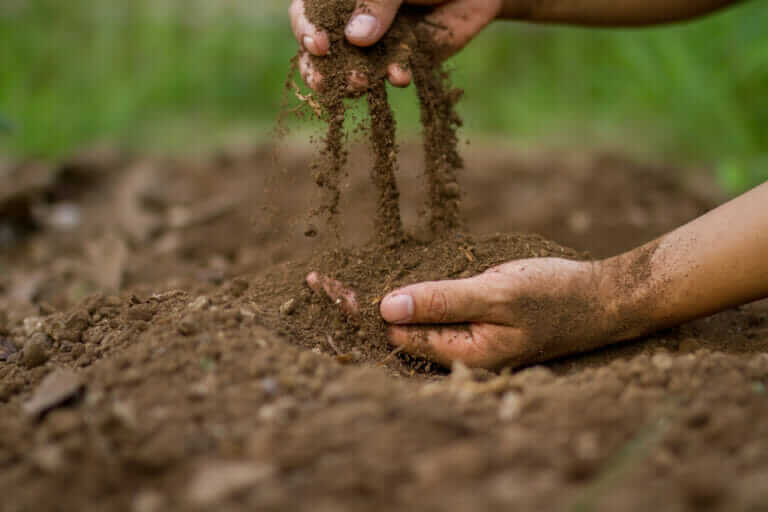 How Climate Change Is Affecting Soil Microbiomes - Modern Farmer