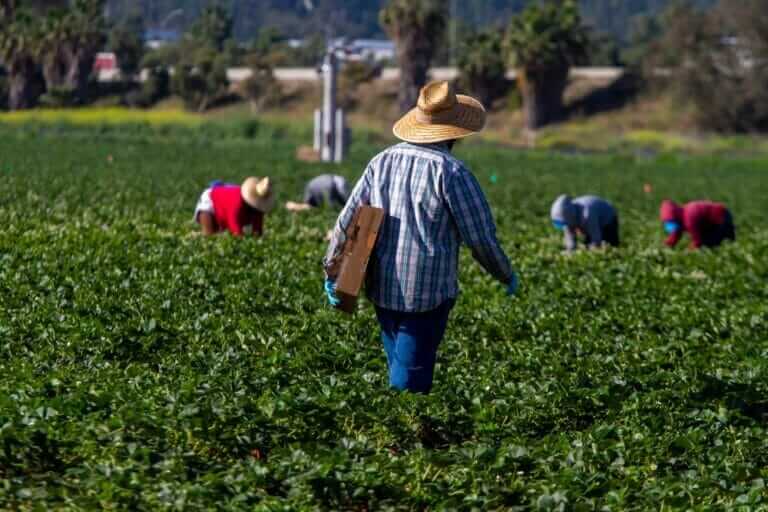 California Farmworkers Embark On 335 Mile March For Voting Rights Modern Farmer 