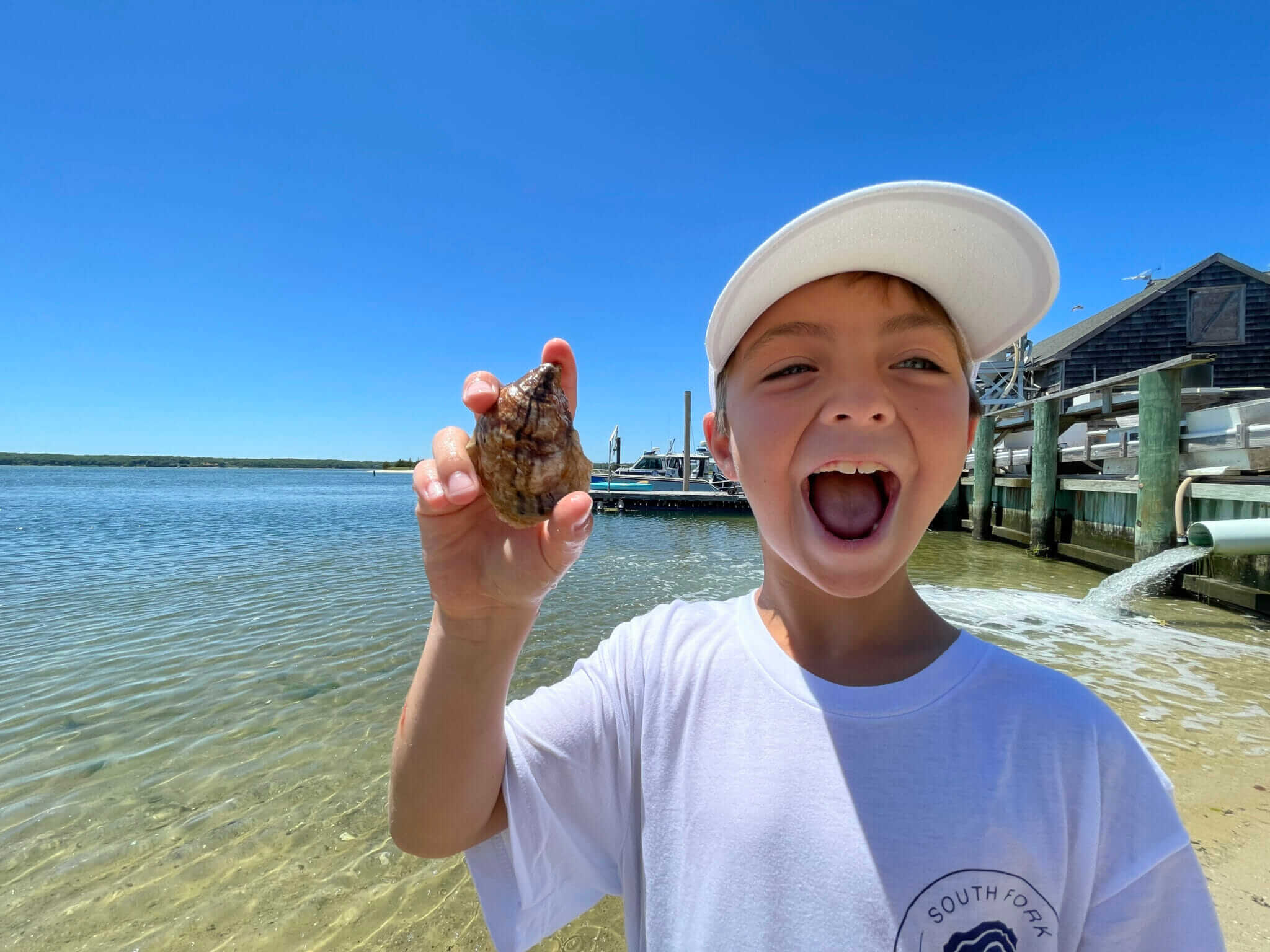 Meet The Modern Farmers Creating Public Oyster Gardens - Modern Farmer