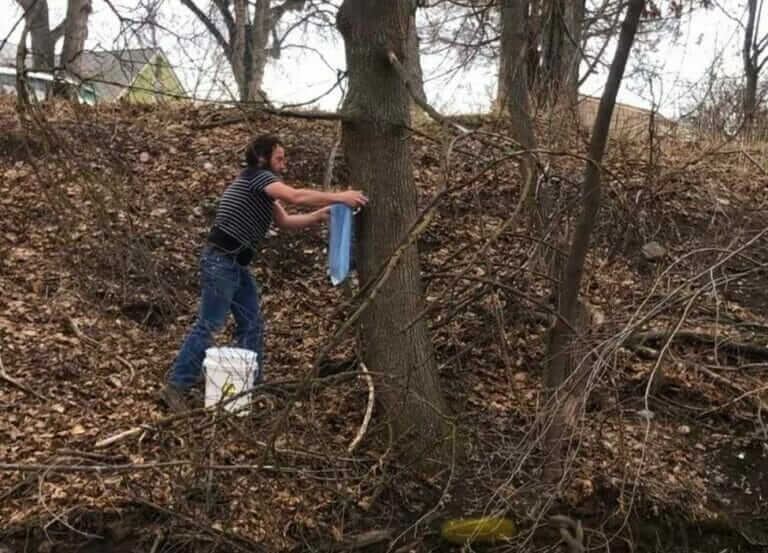 Meet Montana’s Only Maple Syrup Producer Modern Farmer