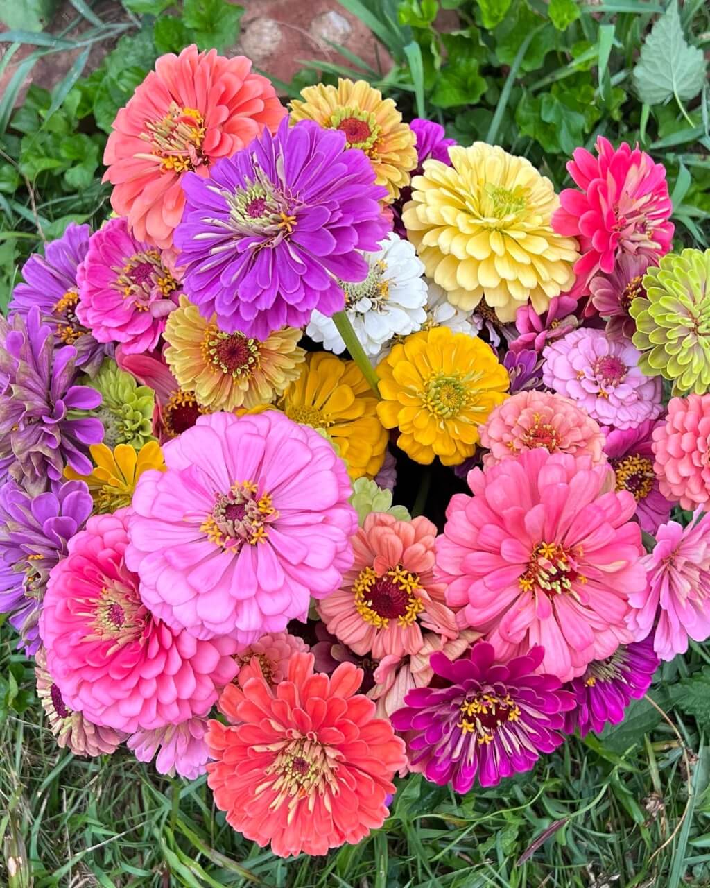 These Flower Farmers Are Planting it Forward Modern Farmer