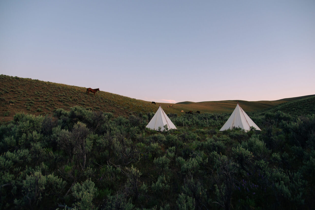 Tents on the range