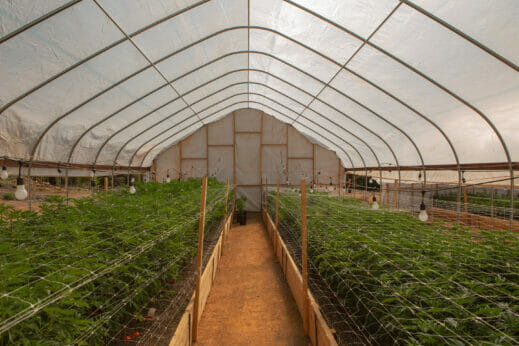 An open greenhouse at Stone Road Farms