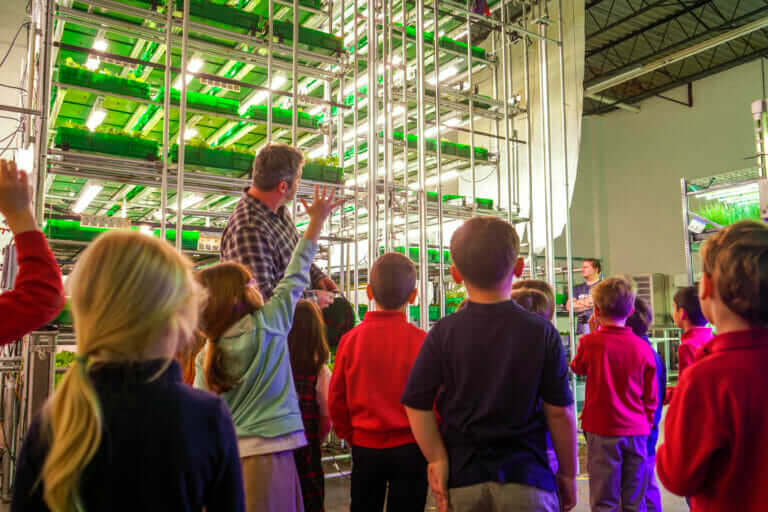 Turning Empty Offices Into Vertical Farms - Modern Farmer