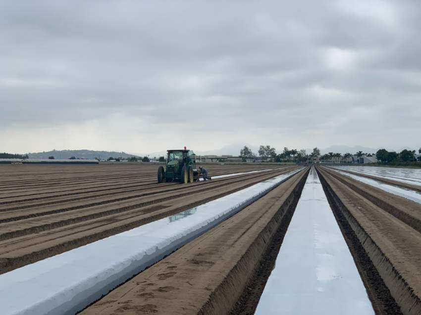 Tractor laying plastic mulch.