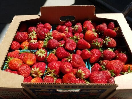 Box of freshly-picked strawberries.