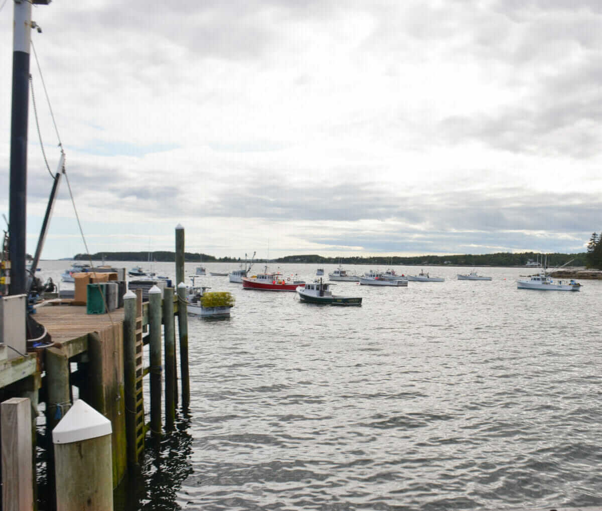 Meet the Women Making Waves in Maine’s Tough Lobster Industry - Modern ...