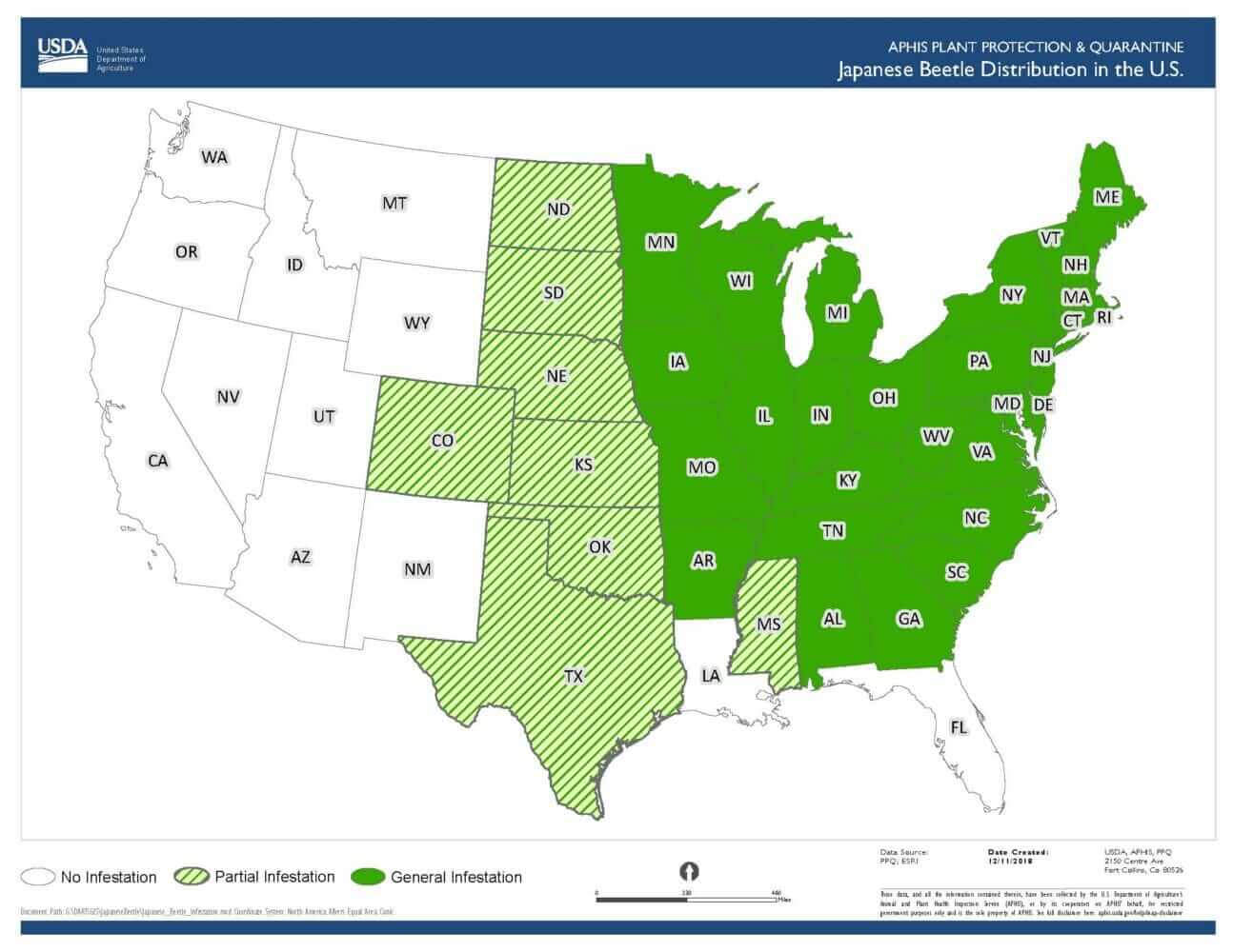 Swift Intervention By Western States Is Keeping a Devastating Beetle at