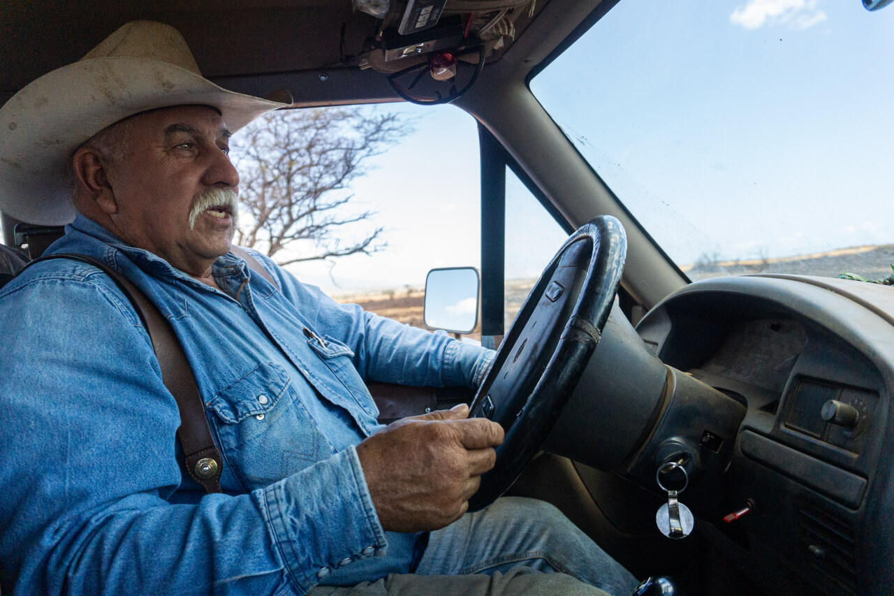 Balthazar driving a vehicle