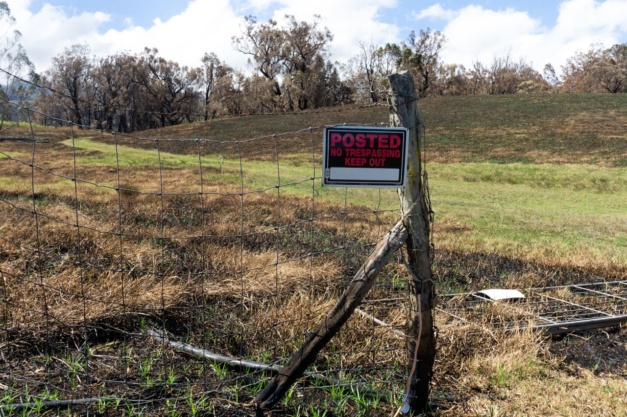 Unburned landscape