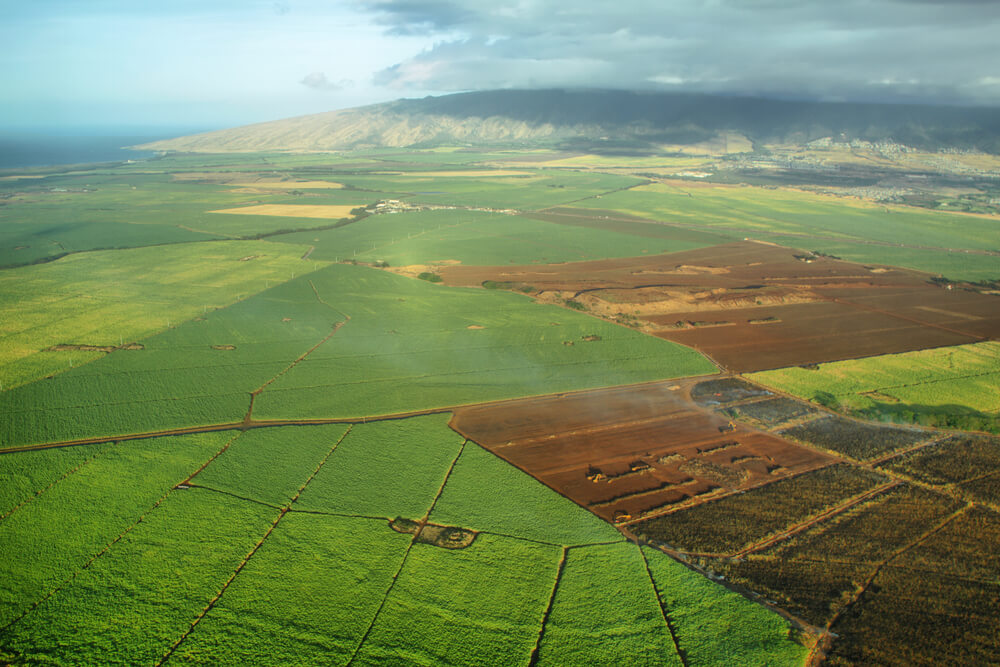 Aerial view of landscape