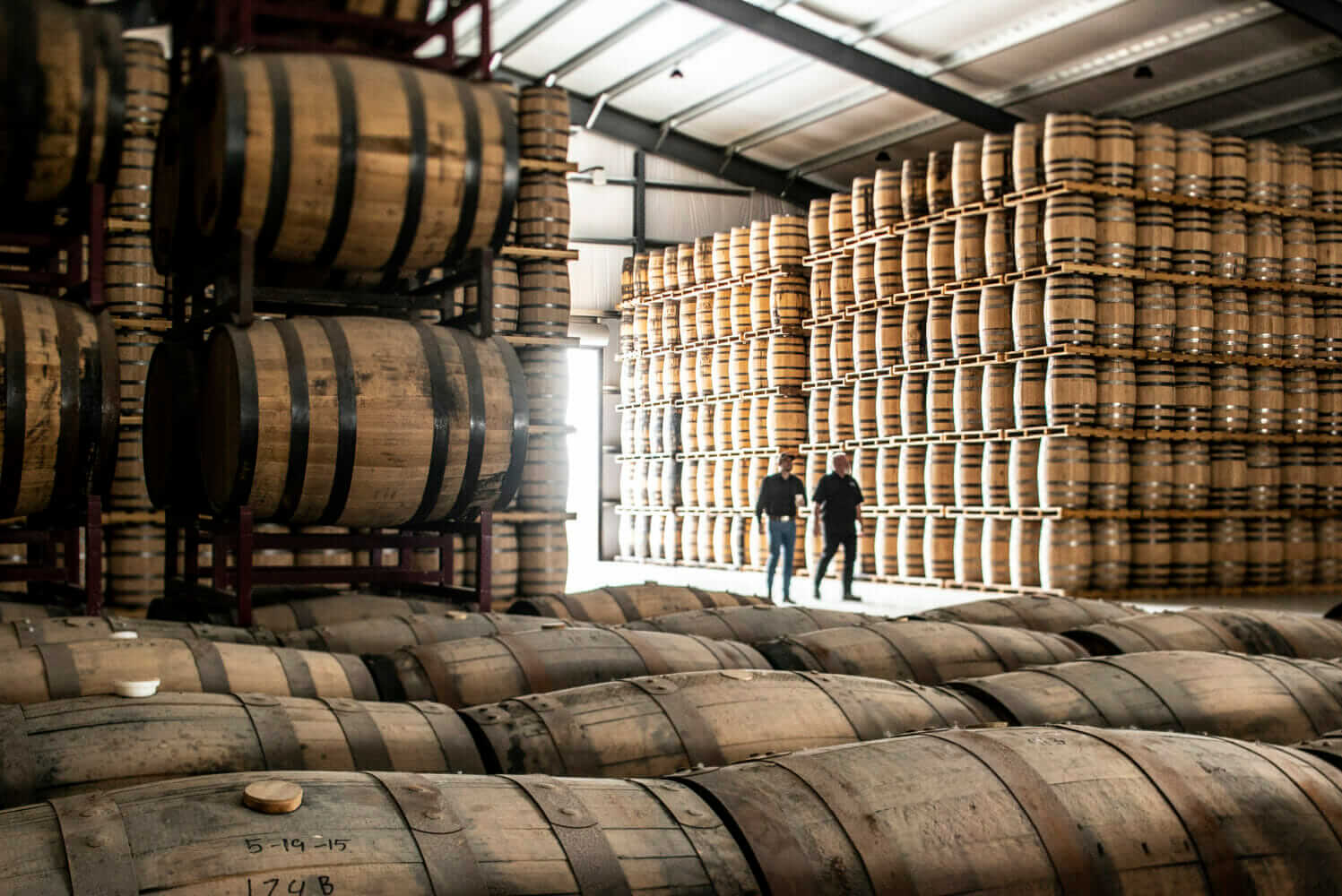 The Bourbon Industry Relies on White Oaks, Which Are in Decline. Now, They’re All In on Saving Them