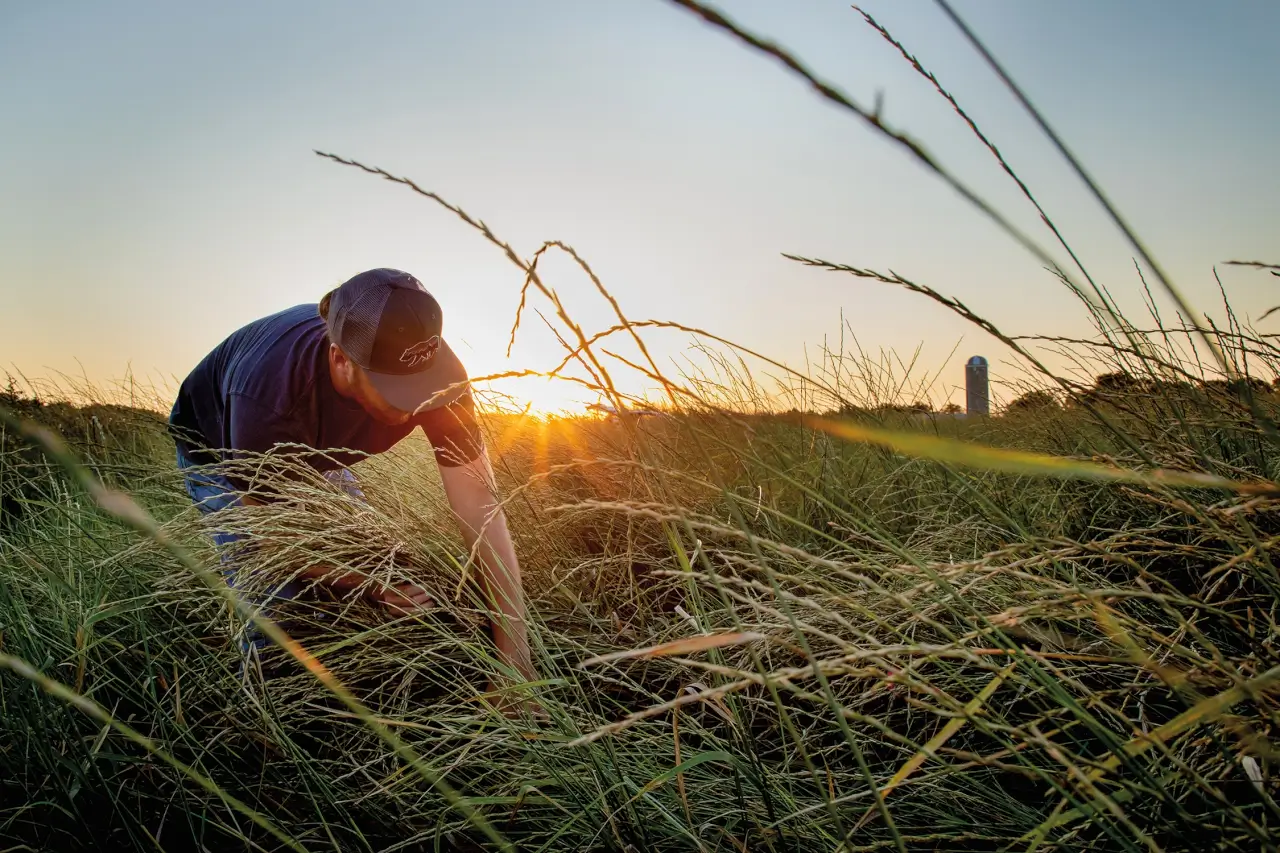 modernfarmer.com