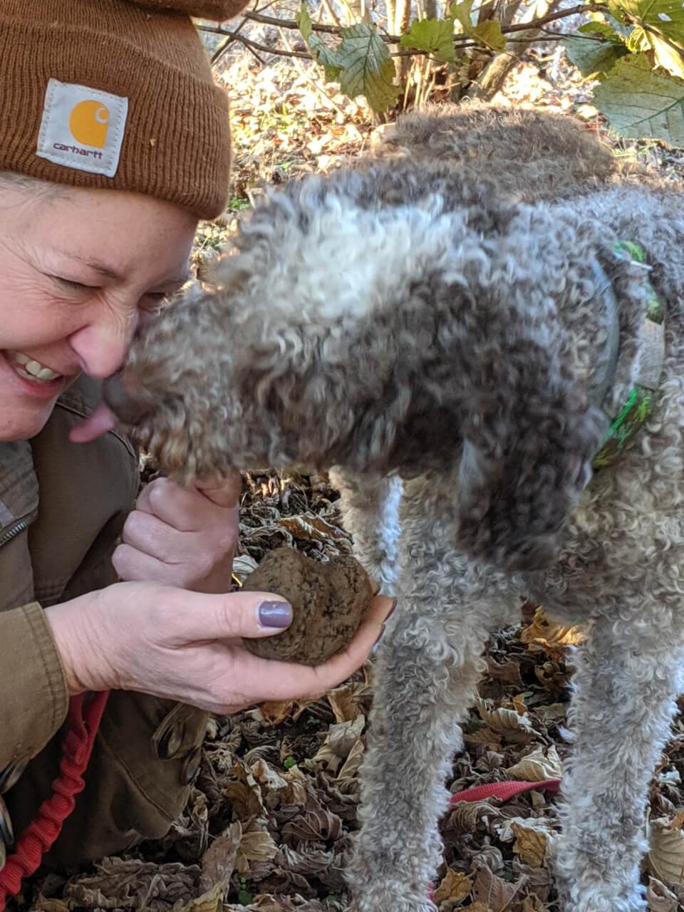 A person and a dog