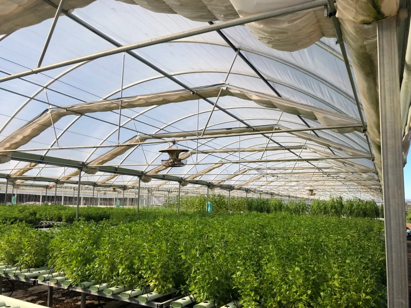 Troops Leaving Service Find New Purpose on the Farm - Modern Farmer
