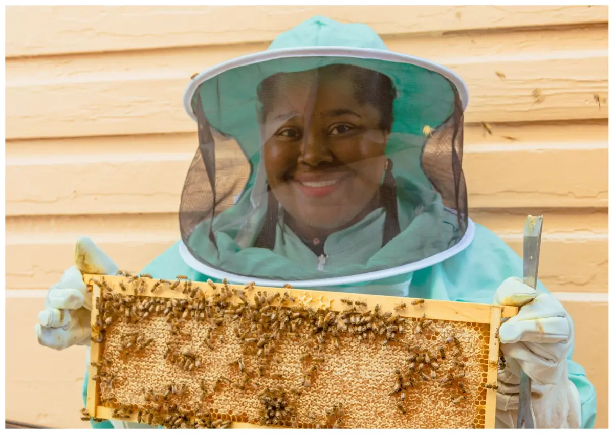 Urban Beekeepers