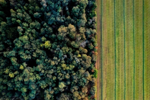 Aerial view of forest meeting farmland.