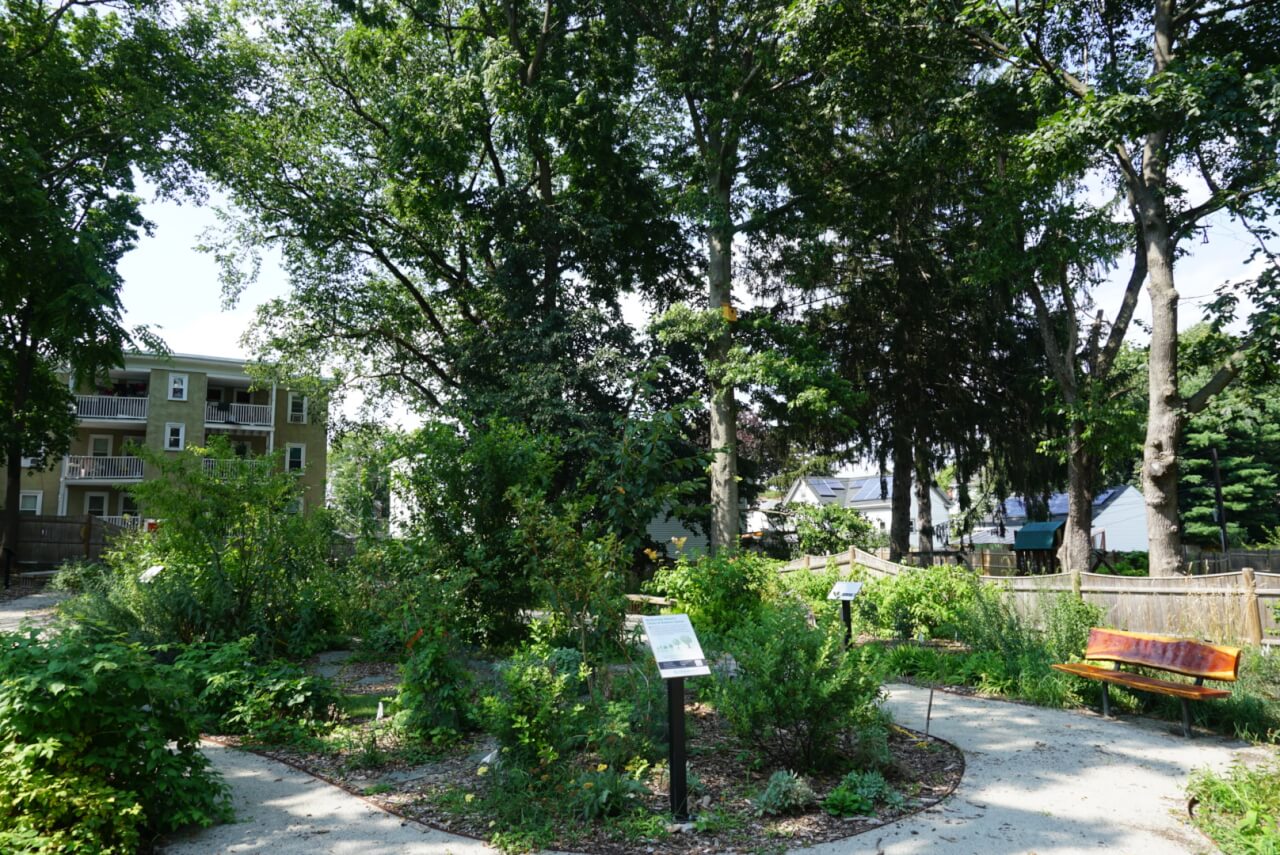 A food forest.