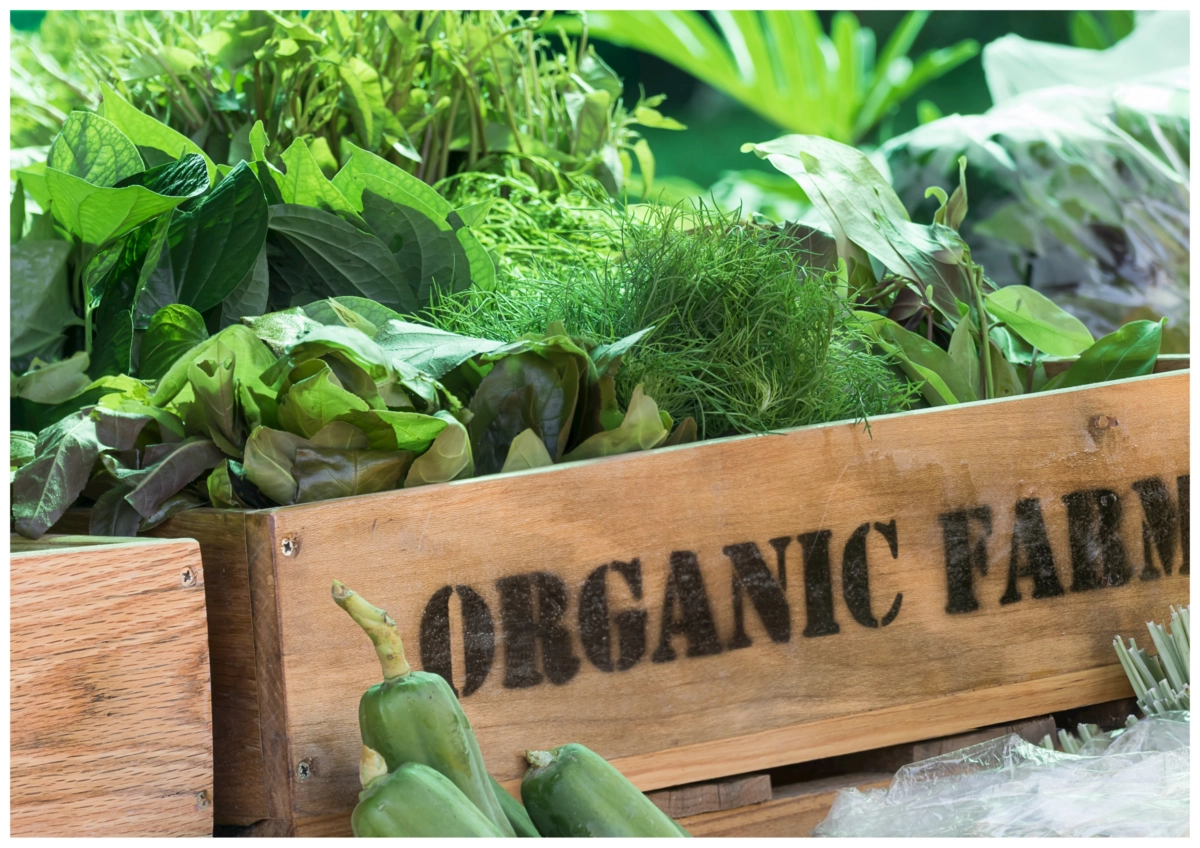 A bin labeled "Organic Farm" full of produce.