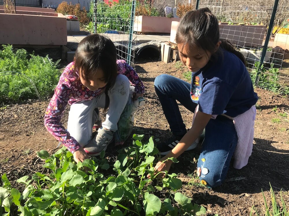 Kids in the garden