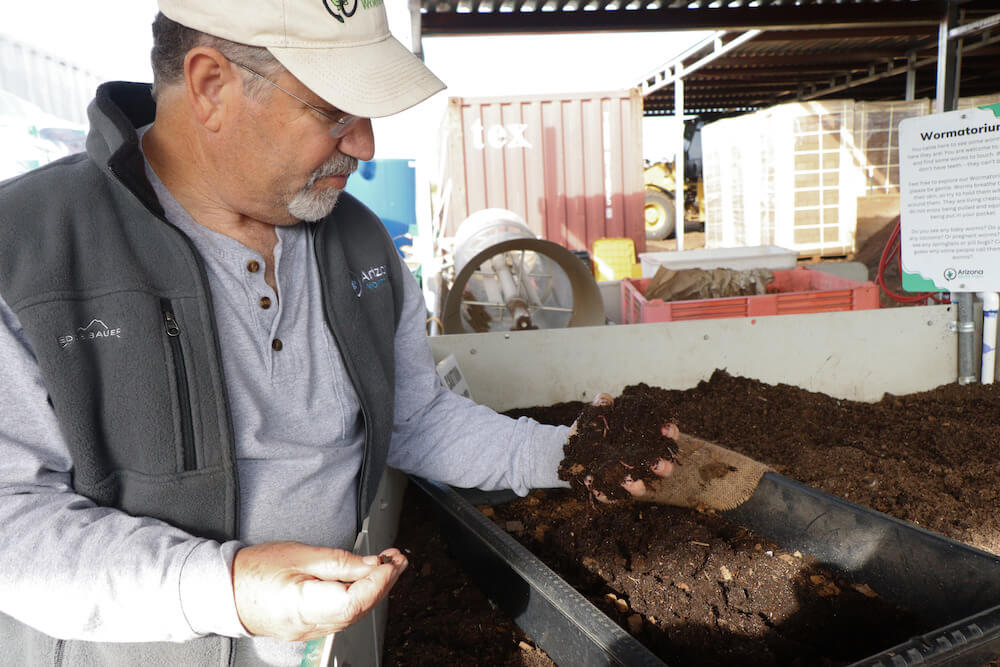 Composting worms