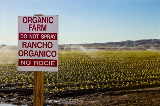 A sign in front of a field saying "organic farm, do not spray. Rancho organico, no rocie."