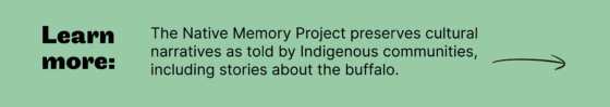 Meer informatie: Het Native Memory Project bewaart culturele verhalen zoals verteld door inheemse gemeenschappen, inclusief verhalen over de buffel. 