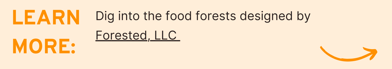 Learn More: Dig into the food forests designed by Forested, LLC