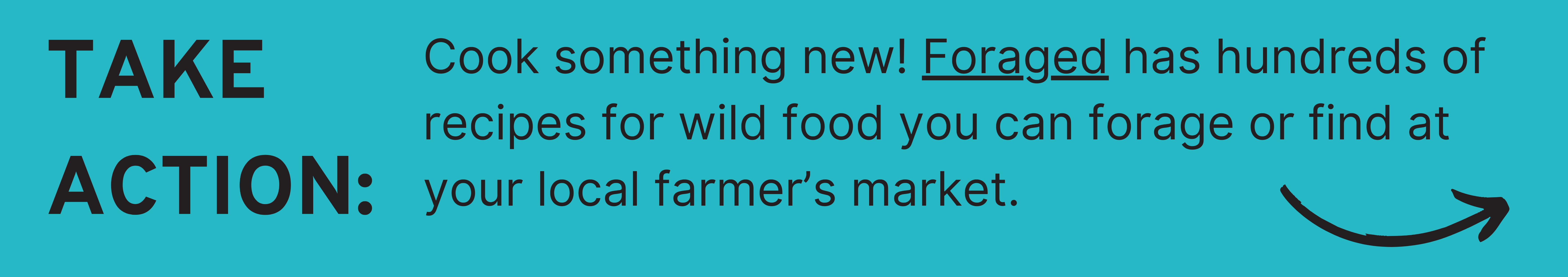 Take Action: Cook something new! Foraged has hundreds of recipes for any wild food you can forage or find at your local farmer’s market.