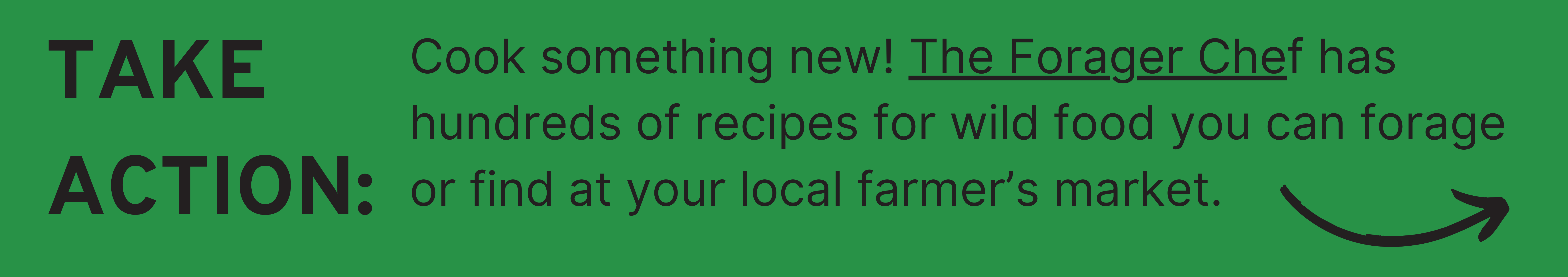 Take Action: Cook something new! The Forager Chef has hundreds of recipes for any wild food you can forage or find at your local farmer’s market.